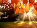 Spel Puzzel: Herfst online Spel Puzzel: Herfst online