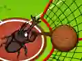 Spel Dieren Olympische Spelen: Kogelstoten online Spel Dieren Olympische Spelen: Kogelstoten online