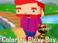 Spel Kleuren van Bloxy Boy online