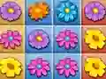 Spel Bloesem Tuin Vermorseling online Spel Bloesem Tuin Vermorseling online