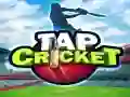 Spel Tik Cricket online