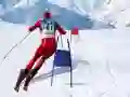 Spel Slalom Ski Simulator online Spel Slalom Ski Simulator online