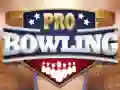 Spel Professionele Bowling online