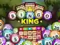 Spel Bingo Koning online