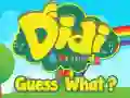 Spel Didi en Vrienden: Raad eens? online Spel Didi en Vrienden: Raad eens? online