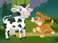 Spel Geheugen van Huisdieren online Spel Geheugen van Huisdieren online