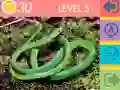 Spel 15 Beeld Quiz online Spel 15 Beeld Quiz online