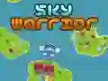 Spel Lucht Oorlogvoerder online Spel Lucht Oorlogvoerder online