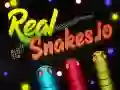 Spel Echte Slangen.io online Spel Echte Slangen.io online