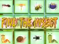 Spel Vind Het Insect online Spel Vind Het Insect online