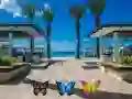 Spel Vind 100 vlinders online Spel Vind 100 vlinders online