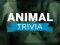 Spel Dier Trivia online Spel Dier Trivia online