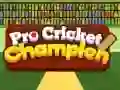 Spel Pro Cricket Kampioen online