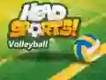Spel Head Sports Volleybal online Spel Head Sports Volleybal online