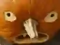 Spel 5-in-1 plaatjespuzzel: Halloween online Spel 5-in-1 plaatjespuzzel: Halloween online