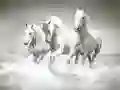 Spel Paardenpuzzel online Spel Paardenpuzzel online