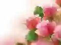 Spel Roze Rozen online Spel Roze Rozen online
