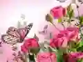 Spel Vlinders Puzzel online Spel Vlinders Puzzel online