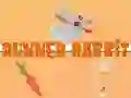 Spel Rennende Konijn online Spel Rennende Konijn online