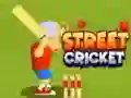 Spel Straatcricket online