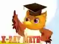 Spel Röntgenwiskunde online Spel Röntgenwiskunde online
