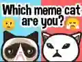 Spel Welke meme kat ben jij? online