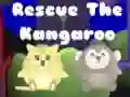 Spel Red de kangaroo online