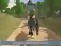 Spel Jungle Dino Vrachtwagen Vervoerder 2020 online Spel Jungle Dino Vrachtwagen Vervoerder 2020 online