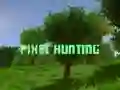 Spel Pixeljacht online
