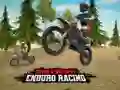 Spel Dirt Bike Enduro Racing online Spel Dirt Bike Enduro Racing online