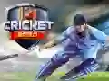 Spel Cricket 2020 online Spel Cricket 2020 online