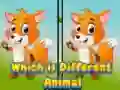 Spel Welk dier is anders online