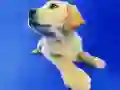 Spel Grappige Katten en Honden Puzzel online Spel Grappige Katten en Honden Puzzel online