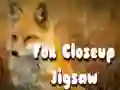Spel Vossen Close-up Puzzel online
