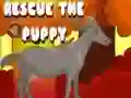 Spel Red de puppy online Spel Red de puppy online