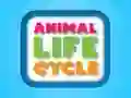 Spel Dierenlevenscyclus online