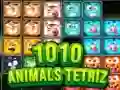 Spel 1010 Dieren Tetris online