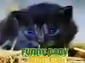 Spel Grappige Baby Dieren online Spel Grappige Baby Dieren online