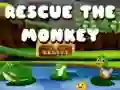 Spel Red de aap online Spel Red de aap online