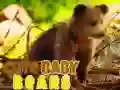 Spel Schattige Babyberen online Spel Schattige Babyberen online