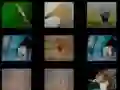 Spel Dieren Geheugen online Spel Dieren Geheugen online