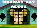 Spel Noorse Rat Rescue online Spel Noorse Rat Rescue online