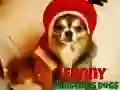 Spel Grappige Kerst Honden online
