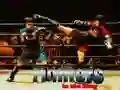 Spel Vechters in de Ring online Spel Vechters in de Ring online