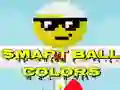 Spel Slimme Bal Kleuren online Spel Slimme Bal Kleuren online