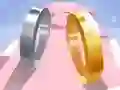 Spel Ring Van Liefde 3D online Spel Ring Van Liefde 3D online