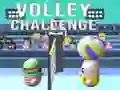 Spel Volley Uitdaging online Spel Volley Uitdaging online