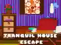 Spel Ontsnapping uit het Rustige Huis online Spel Ontsnapping uit het Rustige Huis online