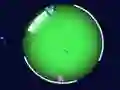 Spel Monster Rennen online Spel Monster Rennen online