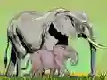 Spel Wilddieren en hun baby’s online